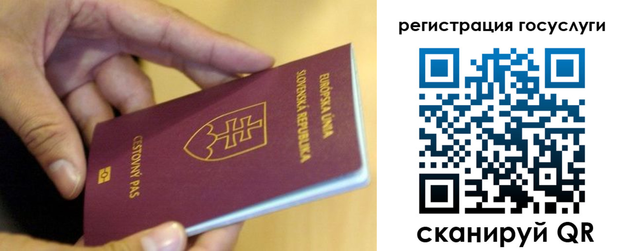 прописка в квартире в Ртищево